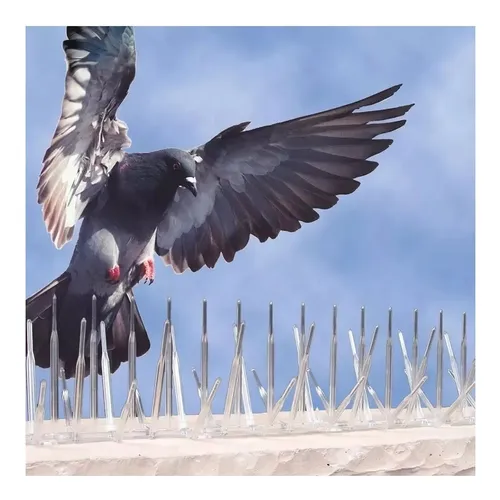Control de Aves
