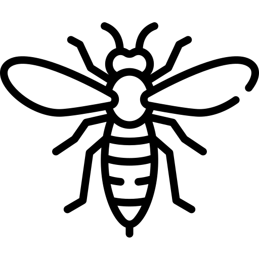 Avispas y abejas